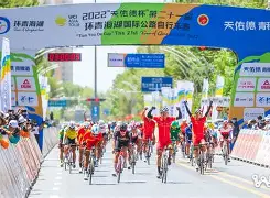 本菲卡今晨比赛比分